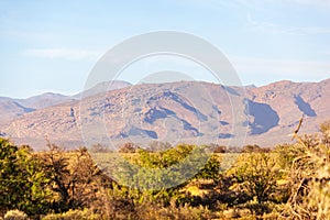 The desert landscape of the Karoo.