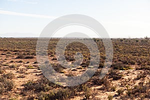 The desert landscape of the Karoo.