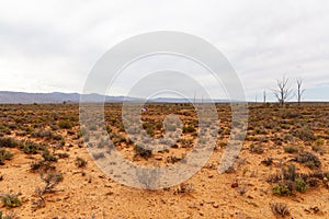 The desert landscape of the Karoo.