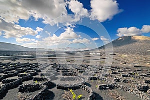 Volcanic desert landscape, Lanzarote island - Timanfaya - Spain photo