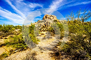 Desert Landscape and Large Rock Formations with Cholla and Saguaro Cacti