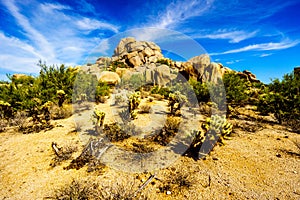 Desert Landscape and Large Rock Formations with Cholla and Saguaro Cacti