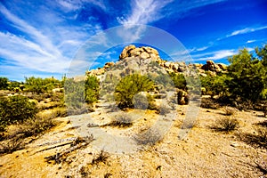 Desert Landscape and Large Rock Formations with Cholla and Saguaro Cacti