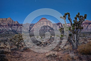 Desert landscape lit up at night by moonlight at Red Rock Canyon in Nevada