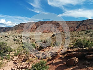 Desert landscape with mountain, sand, and brush