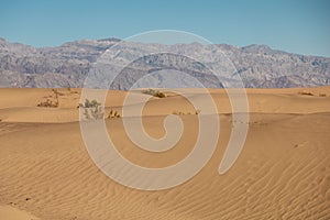 Desert Landscape with Mountains in Background in Death Valley