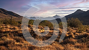 Desert landscape with mountains in the distance