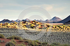 Desert Landscape - NamibRand, Namibia