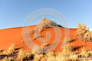 Desert Landscape - NamibRand, Namibia