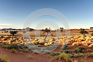 Desert Landscape - NamibRand, Namibia