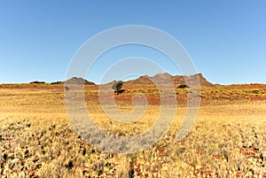 Desert Landscape - NamibRand, Namibia