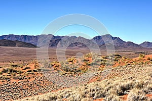 Desert Landscape - NamibRand, Namibia