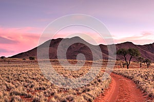 Desert Landscape - NamibRand, Namibia