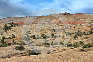 Desert Landscape near Henrieville in Utah, Escalante National Monument