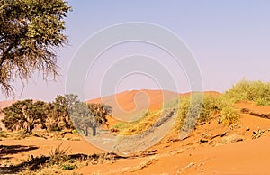 Desert landscape near Sossusvlei