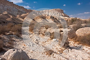 Desert landscape, Negev, Israel