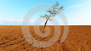 Desert landscape with a parched tree as a metaphor for global warming and climate change