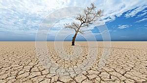 Desert landscape with a parched tree as a metaphor for global warming and climate change.