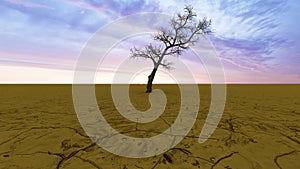 Desert landscape with a parched tree as a metaphor for global warming and climate change