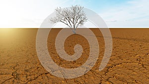 Desert landscape with a parched tree as a metaphor for global warming and climate change