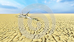 Desert landscape with a parched tree trunck as a metaphor for global warming and climate change photo