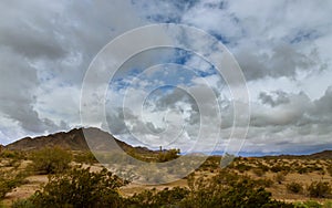 Desert landscape in Phoenix, Arizona cactus on the mountain