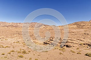 Desert landscape, plain and mountains of red sandstone covered with sparse vegetations