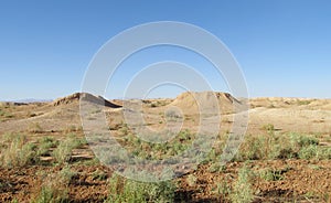 Desert landscape poor green vegetation