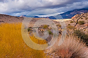 Desert landscape with rainy clouds in Nevada