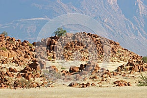 Desert landscape with rocks and arid grassland, Brandberg mountain, Namibia