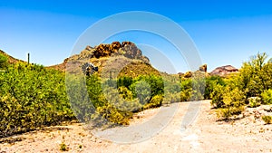 Desert Landscape and rugged Mountains in Tonto National Forest in Arizona, USA