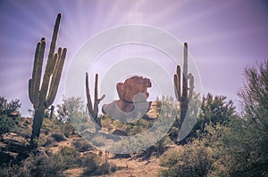 Desert landscape saguaro cactus and boulders