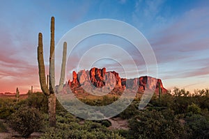 Desert landscape with a Saguaro Cactus at sunset in the Superstition Mountains, Arizona