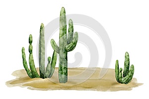 Desert landscape with saguaro cactuses and sand watercolor illustration. Arizona, Wild West or Mexican nature clipart