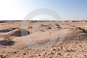 Desert landscape of Sahara