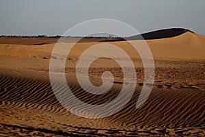 Desert landscape Sahara in Morocco, Africa