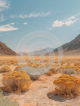 Desert landscape with sand dunes and bushes. By generative Ai