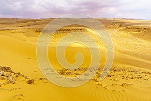 Desert landscape and sand dunes in the Uvda valley