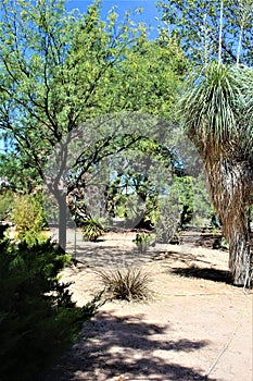 Desert Landscape Scenery located in Cochise County, Saint David, Arizona