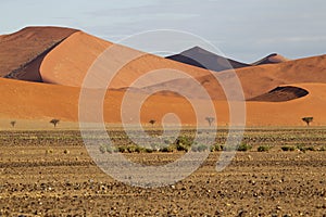Desert Landscape, Sossusvlei, Namibia