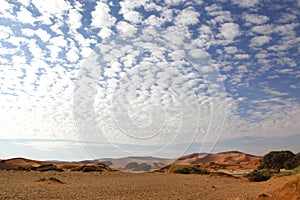 Desert Landscape, Sossusvlei, Namibia