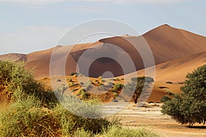 Desert Landscape, Sossusvlei, Namibia