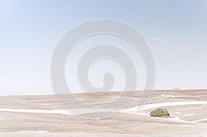 Desert landscape in the south of the Iberian Peninsula photo