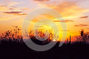 Desert landscape at Sunset