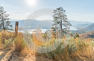 Desert landscape surrounding Osoyoos viewed from Anarchist Mountain photo