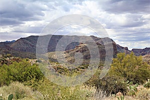 Tonto National Forest, Arizona U.S. Department of Agriculture photo