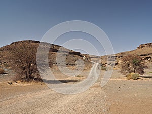 Desert landscape with trail route