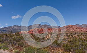 The desert landscape, the vegetation and the mountains of Nevada at the Red Rock Canyon National Conservation Area.