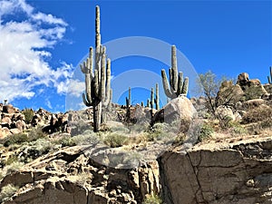 Desert landscape view of Arizona State Route 87 SR 87, Phoenix, Arizona to Payson, Arizona, United States photo