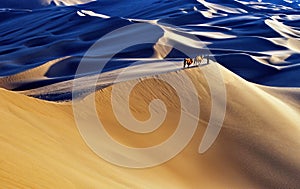 Desert landscape with walking camels